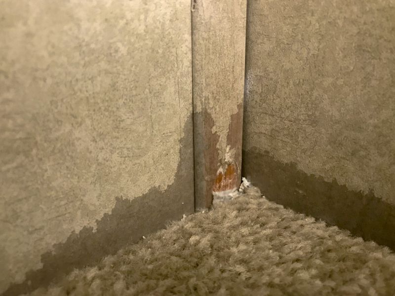 Basement Carpet Repair