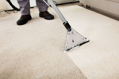 Carpet Service Professionals at Work