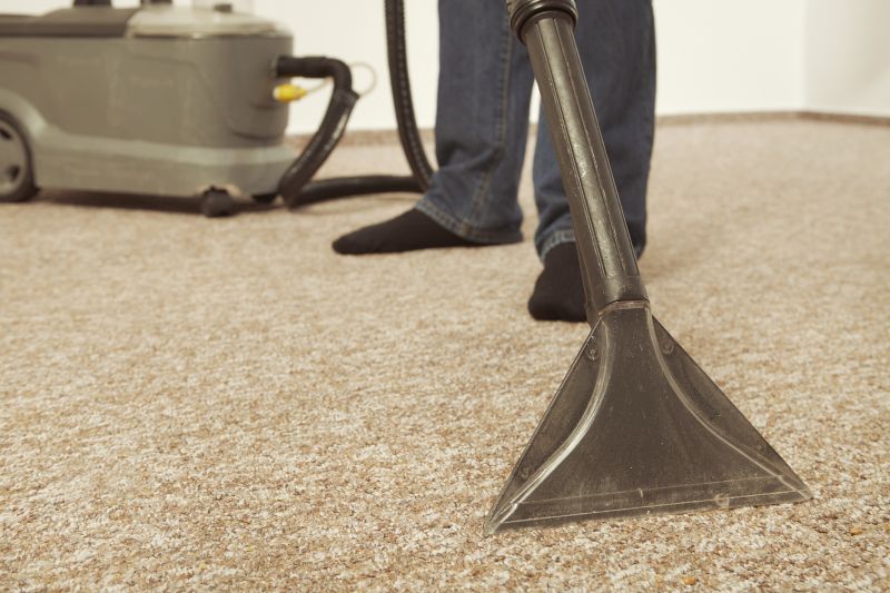 Comprehensive Carpet Cleaning Solutions