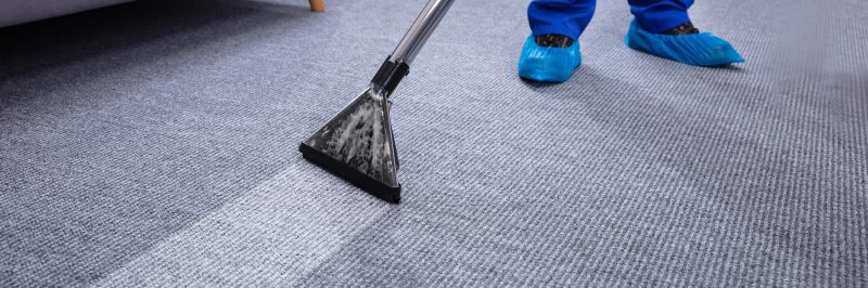 Professional Carpet Cleaners
