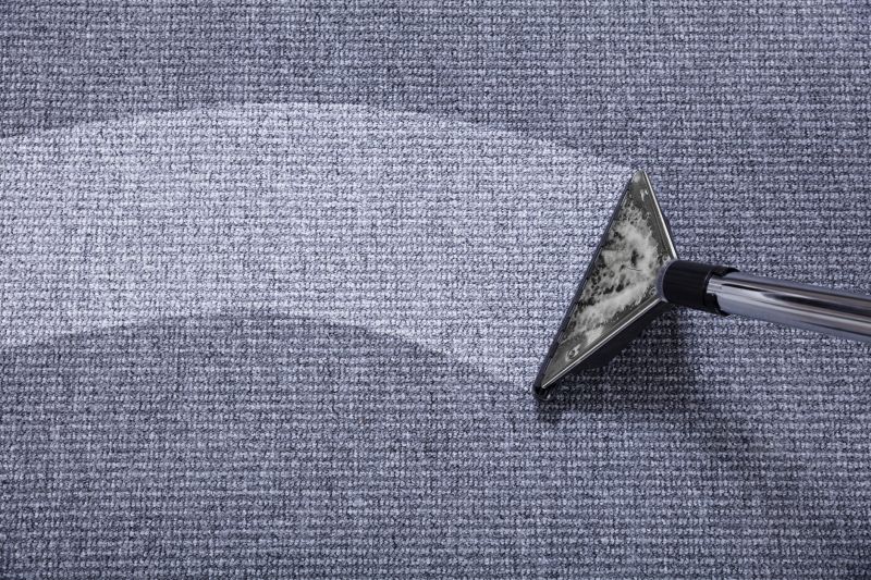 Specialized Carpet Restoration Experts